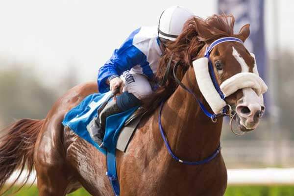 HH-Ruler-of-Sharjah-Race-Cup